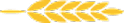 leaf-vector