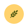 whatWeDoVector